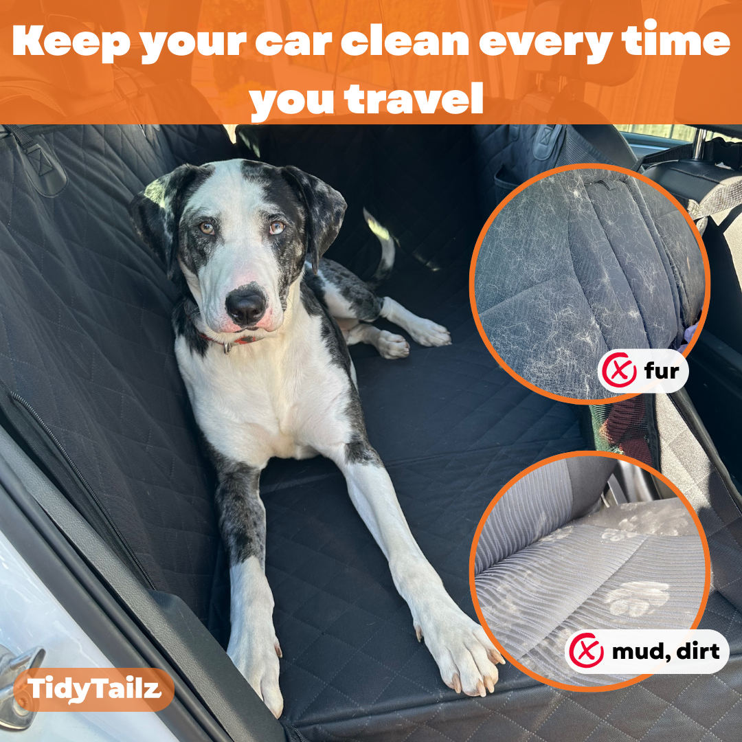 TidyTailz - Carseat Extender & Protector