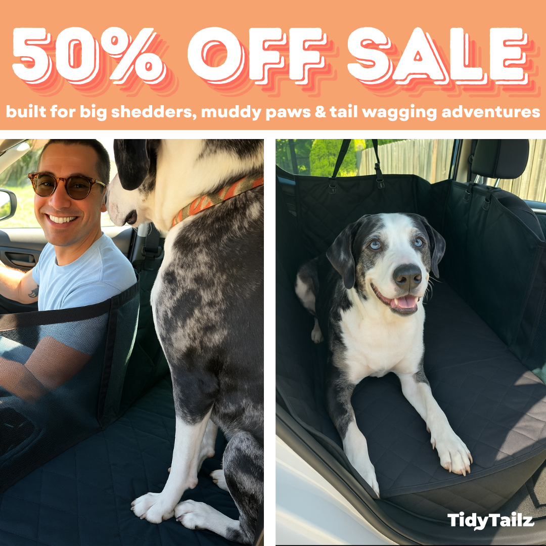 TidyTailz - Carseat Extender & Protector